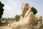Visite des pyramides de Gizeh, de Memphis et de Saqqarah depuis le Caire